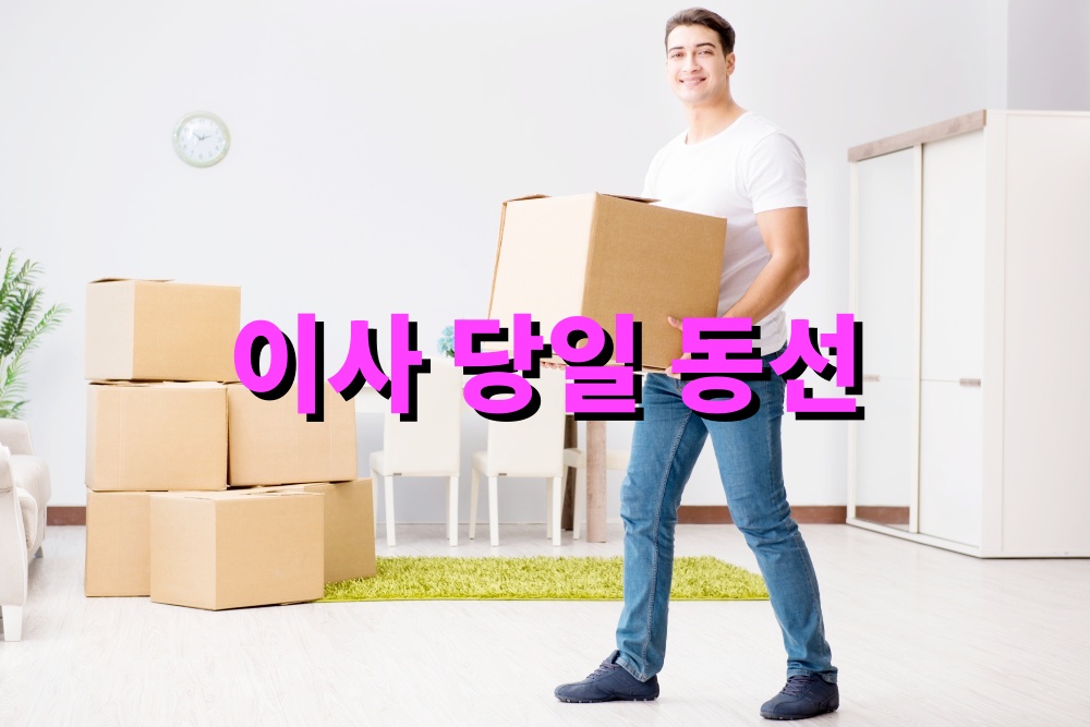 이사 당일 동선 관리로 시간 절약하는 방법