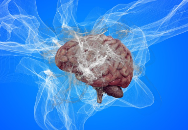 뇌 미세플라스틱