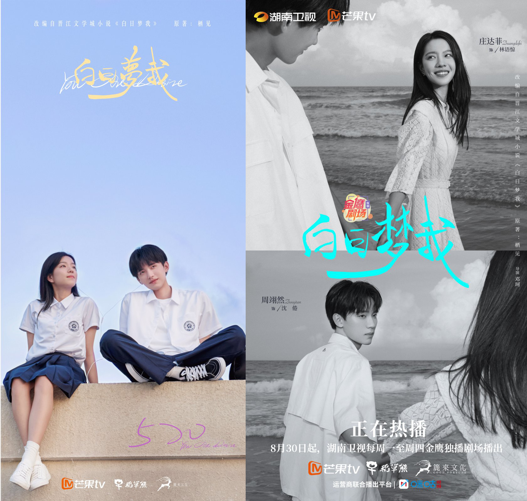 최신 중국 청춘물 백일몽아 포스터