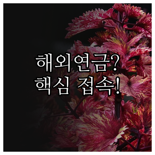 삼성증권 해외 주식 연금 자산 관리 ..