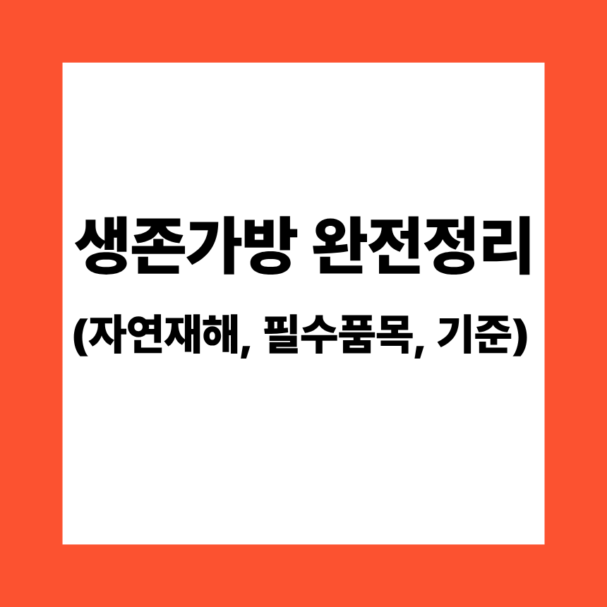생존가방 완전정리 (자연재해, 필수품목, 기준)
