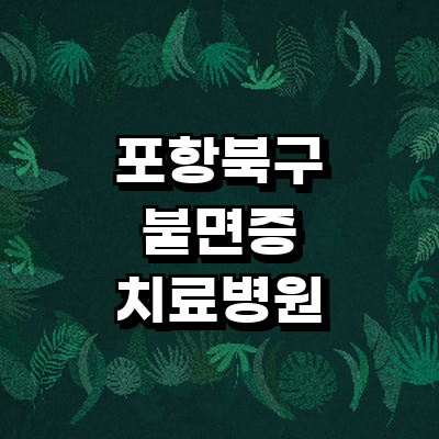 포항시 북구 불면증