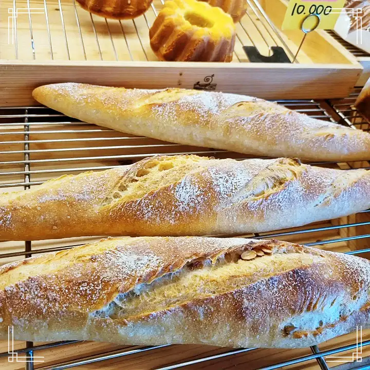 6시내고향 남해 독일빵 100% 천연수제발효종으로 만드는 천연발효빵 프레첼 유자 스톨렌 맛집 오늘 방송 추천