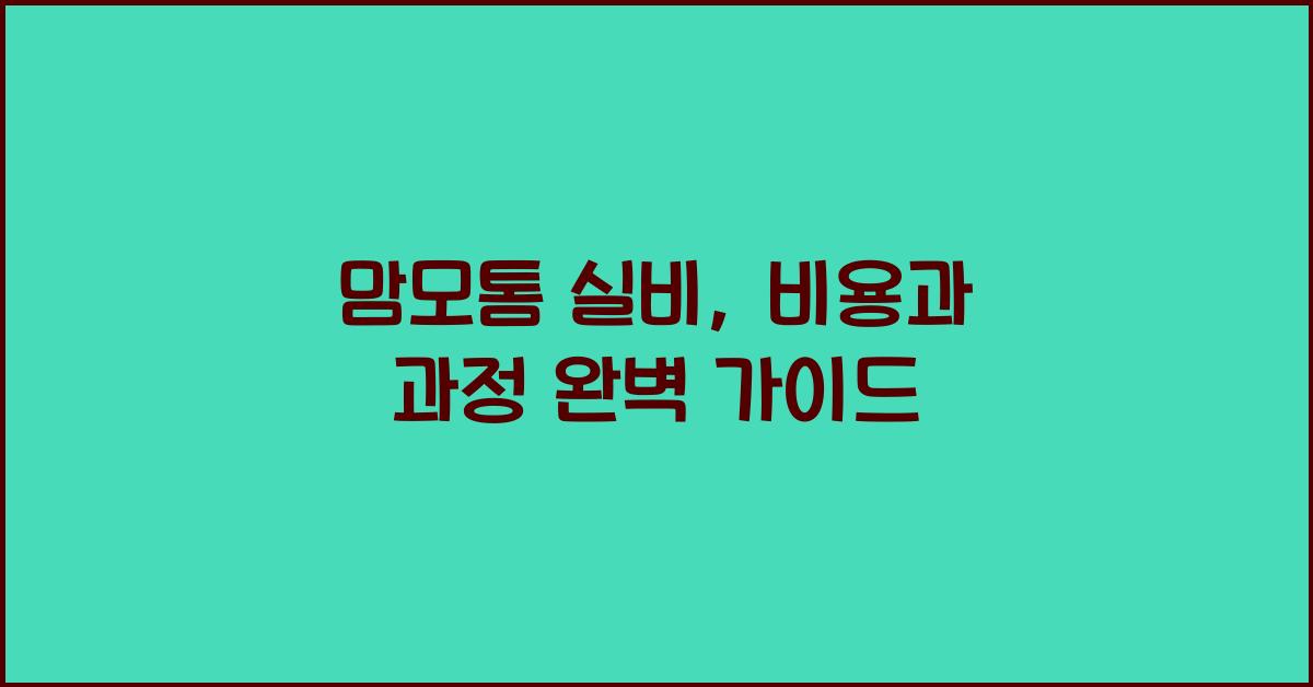 맘모톰 실비