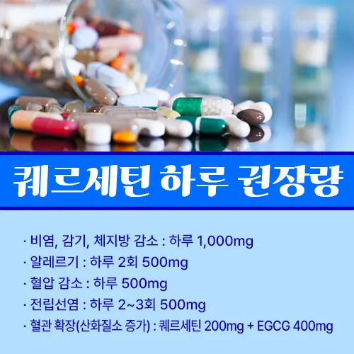 퀘르세틴 하루권장량