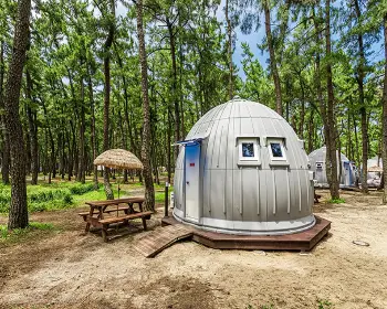 연곡 솔향기 캠핑장_6