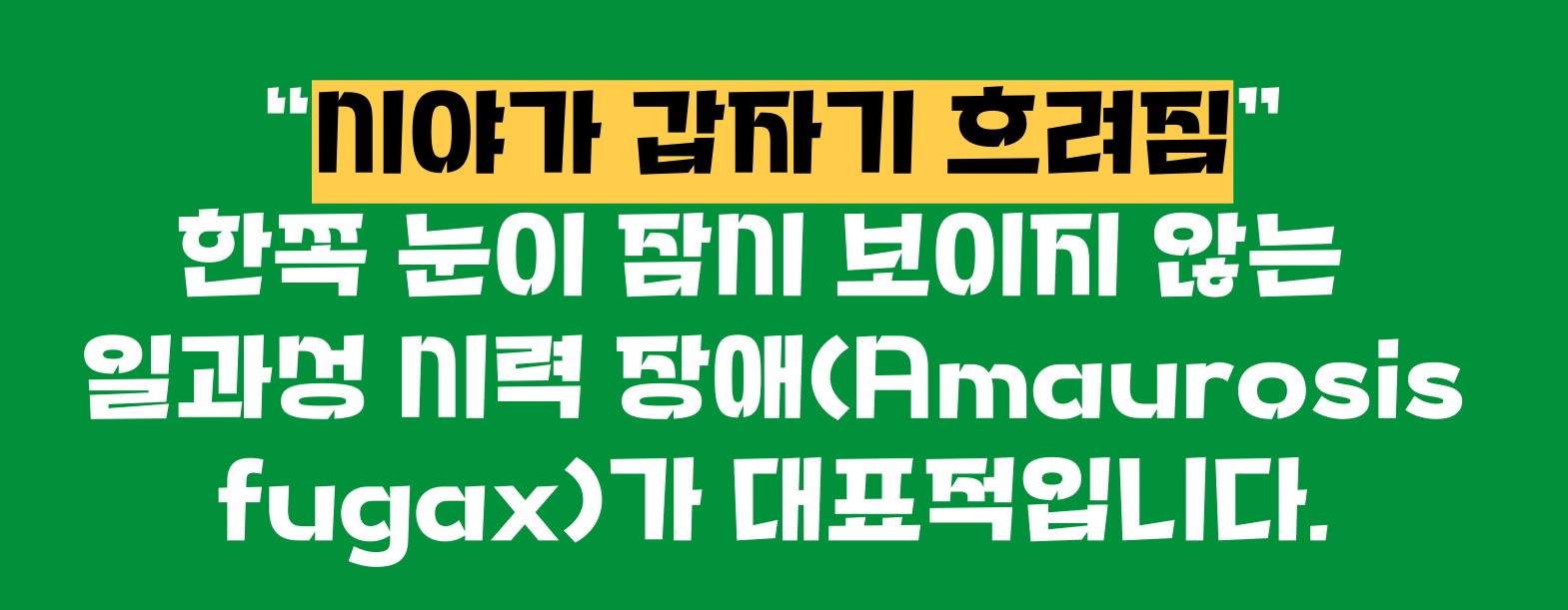 경동맥 협착증 증상