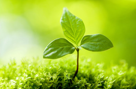 소비쿠폰온라인신청28