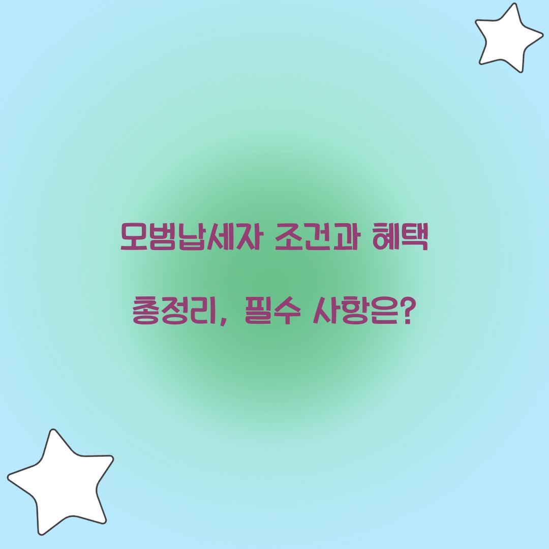 모범납세자 조건