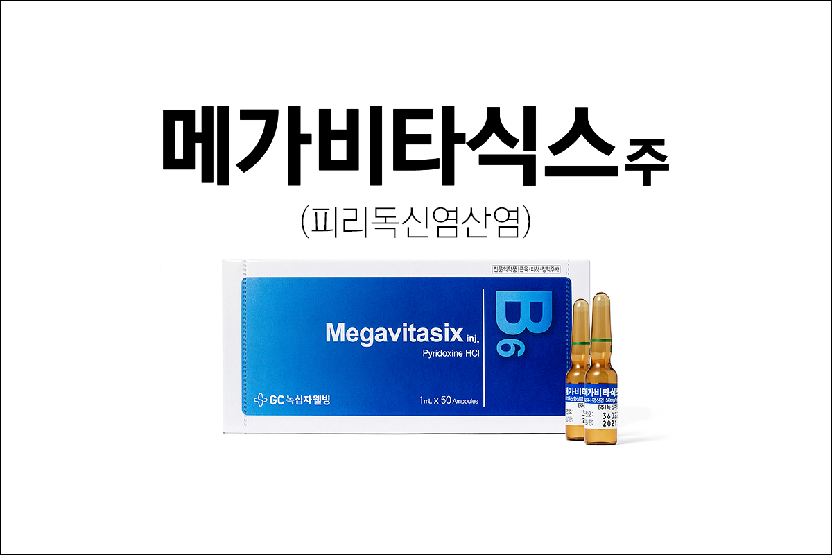 비타민제 메가비타식스주(Megavitasix Injection)
