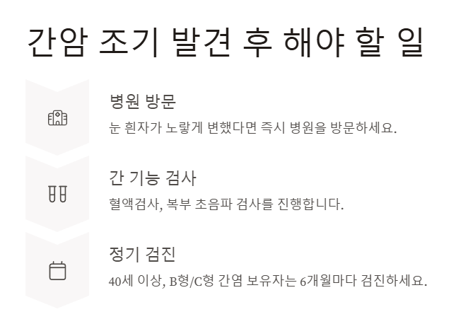 간암 초기일 가능성 높아요