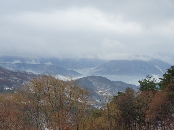 지리산 살구 카페 과일요거트 카페오도재