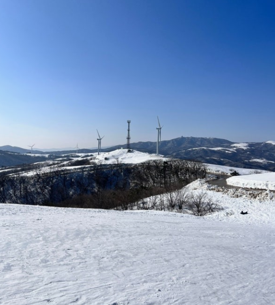 강원도 겨울