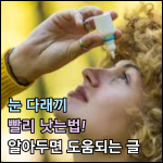 본 글의 썸네일