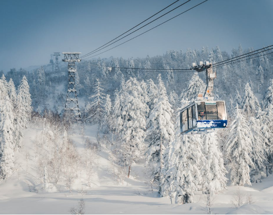 일본 여행지 추천