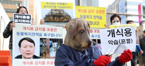 윤석열 식용견