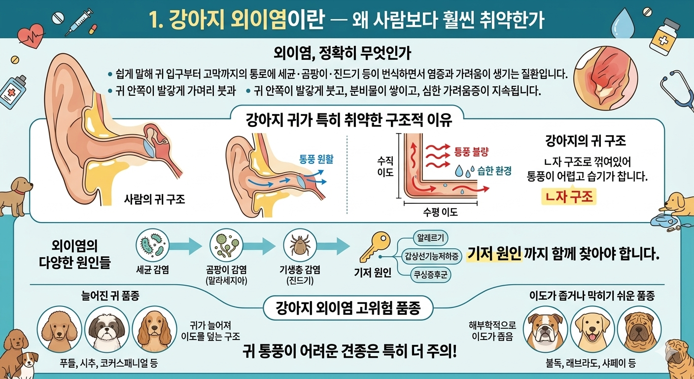 강아지 외이염이란