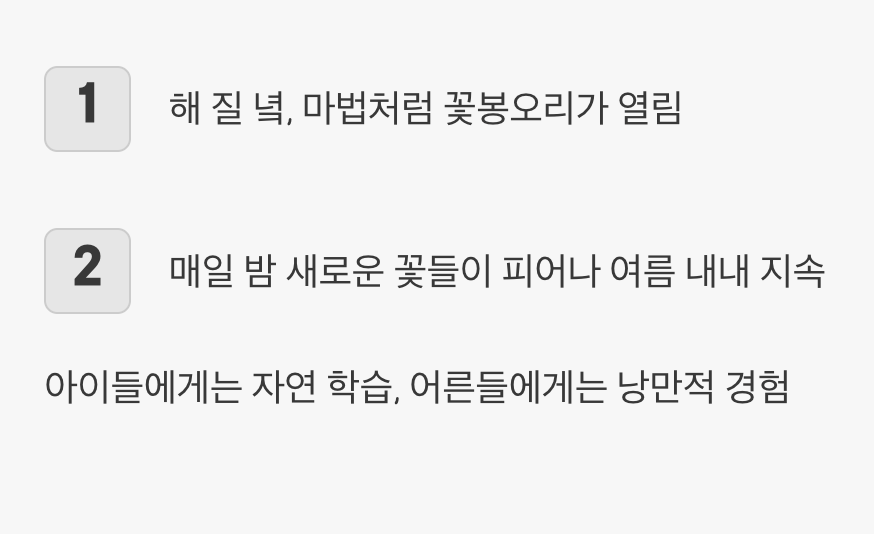 밤에만 열리는 신비로운 꽃의 향연