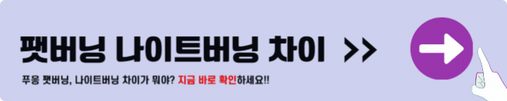 푸응 팻버닝 나이트버닝