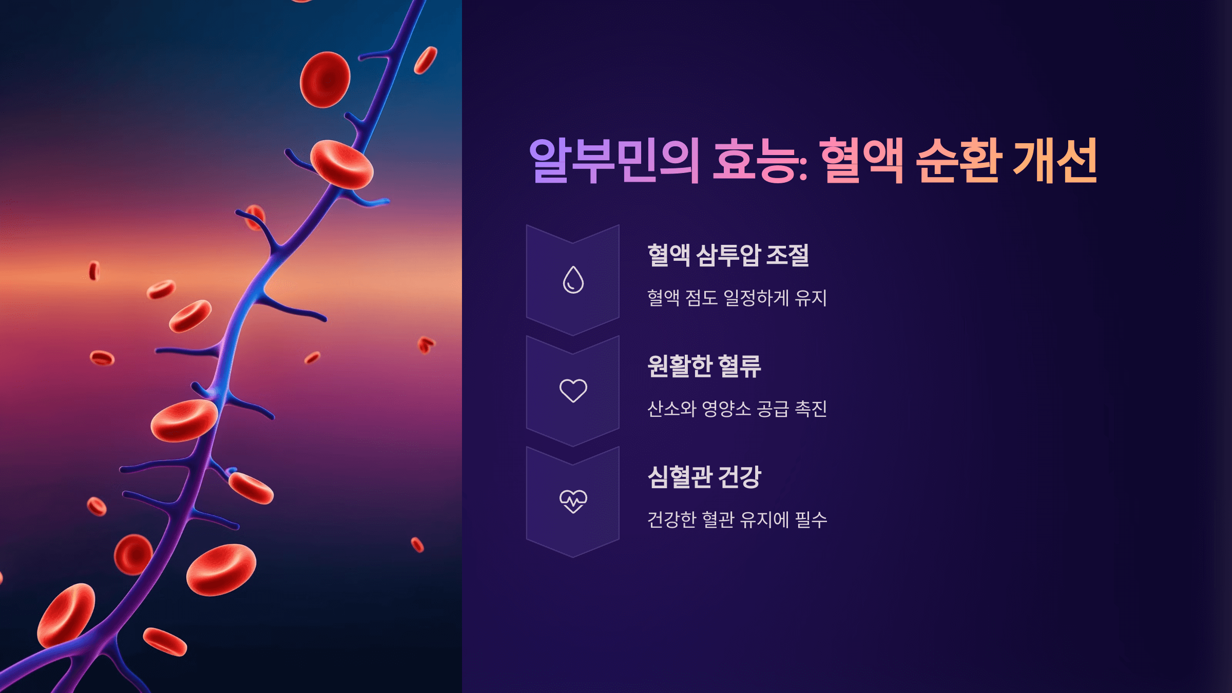 알부민과 관련된 사진입니다.