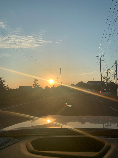 사춘기 아들, 외출도 소통도 힘들어요