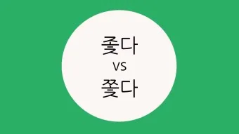좇다 쫓다 맞춤법 맞는 표현 예문_8