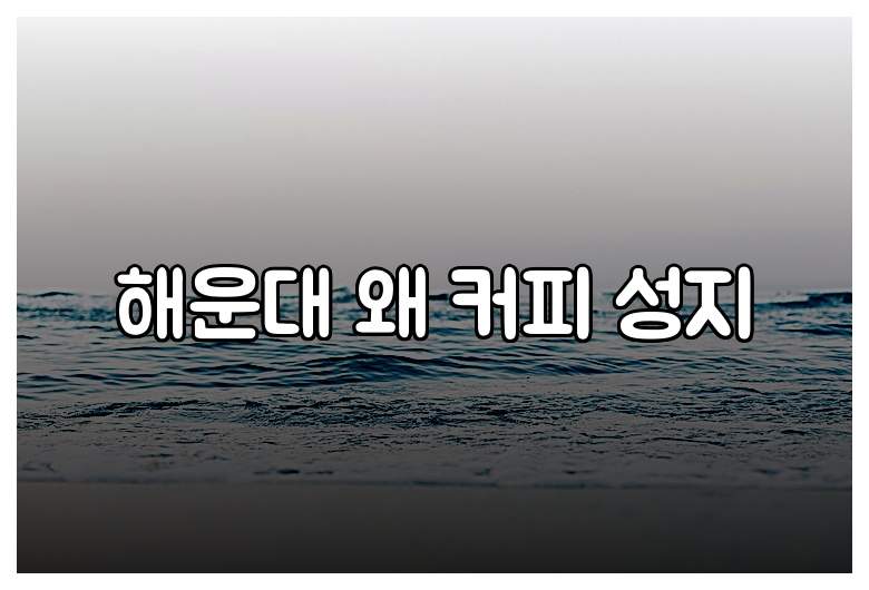 해운대 왜 커피 성지