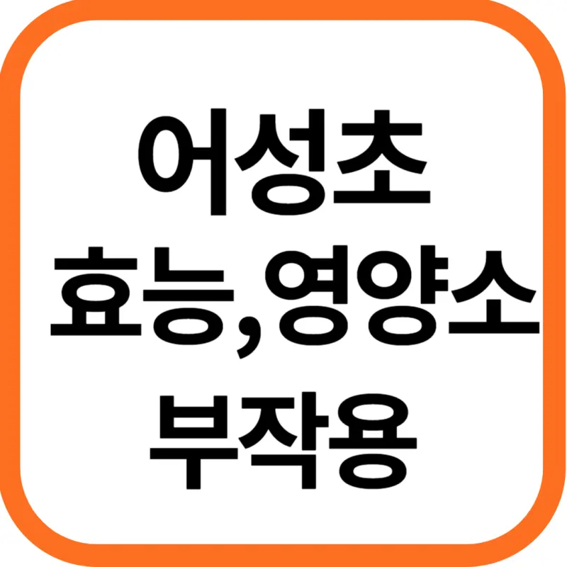 어성초 효능 효과 및 영양성분, 부작용