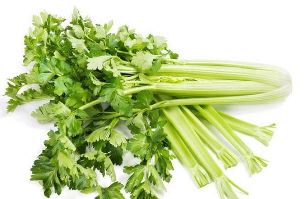 꽃가루 알레르기에 좋은 음식과 나쁜 음식