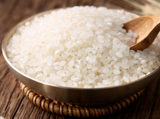 쌀 종류 백미쌀