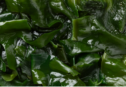 혈액순환에 좋은 음식