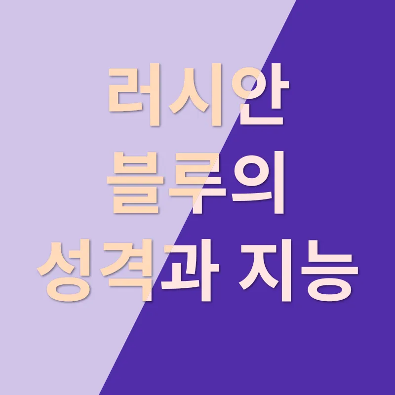러시안 블루_2
