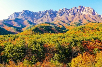 설악산-케이블카-사전-예약-불가!-현장-구매-방법&amp;#44;-요금&amp;#44;-운영시간