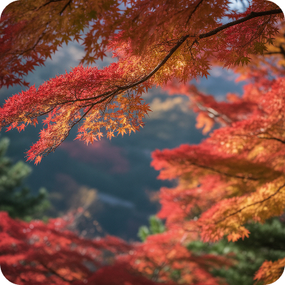 2025 지리산 단풍명소 & 단풍절정시기 이미지