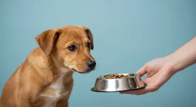 생후 주차별 & 체중별 필요 칼로리 계산법