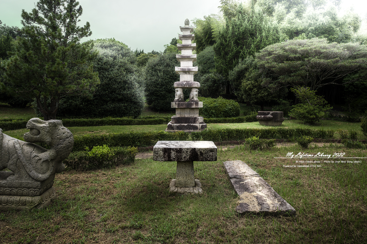 #제주 #상효원 #대나무 #숲 #2022제주여행