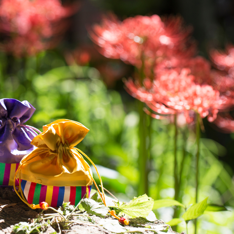 2024년 추석 연휴, 놓치면 후회할 황금빛 휴식_11