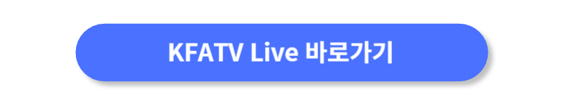 버튼