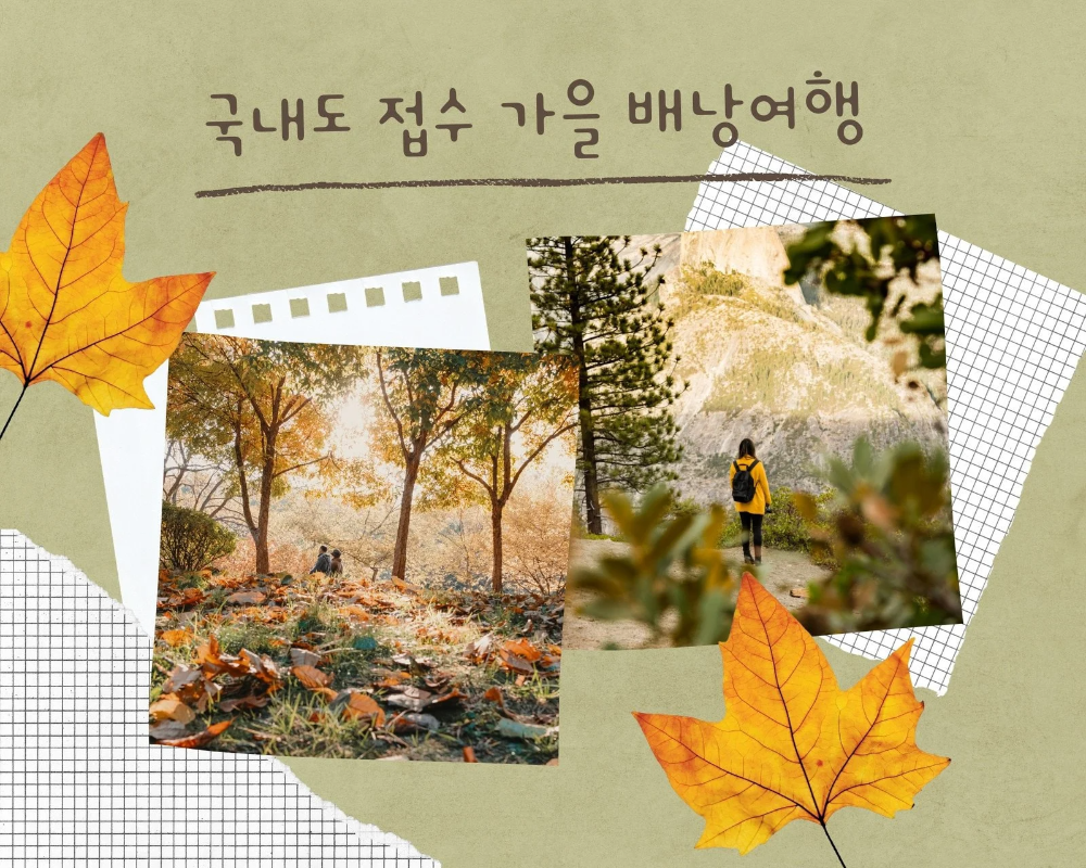실제 사례 3