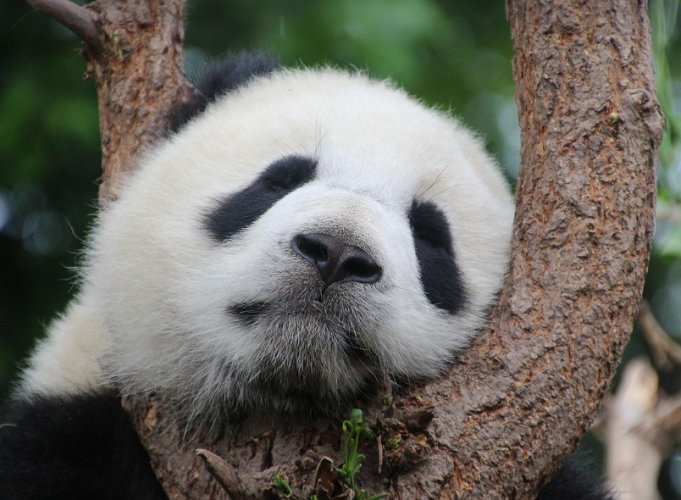 중국여행 시작은 중국비자발급 부터! 1