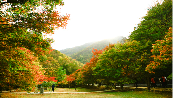 숙박세일 페스타 2024 9월 쿠폰발급받기