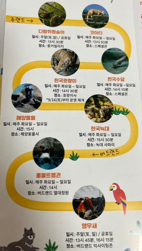 오월드 먹이주기