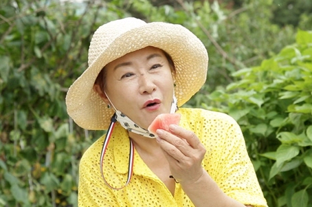 소머리국밥 배연정 미국 사업 실패 스토리