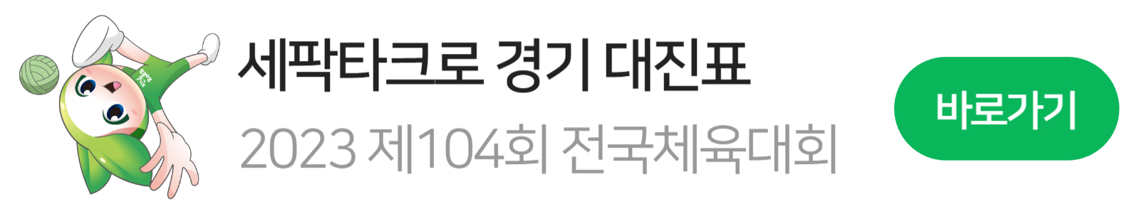 전국체육대회 세팍타크로 마스코트 3