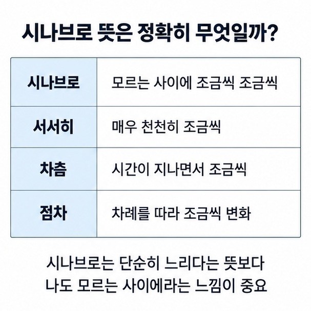 시나브로 서서히 차츰 점차의 의미 차이를 비교한 표