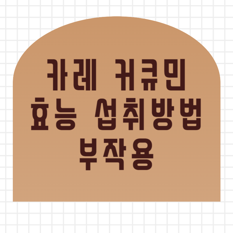 카레 커큐민 효능 섭취방법 부작용