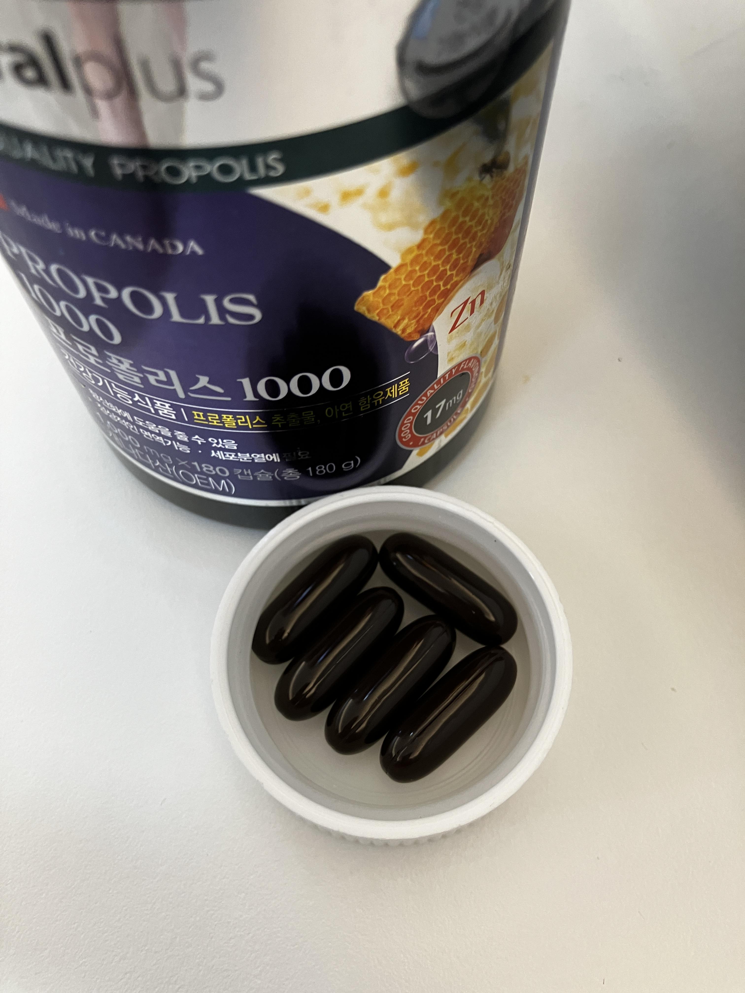 캐나다 프로폴리스 1000 내돈내산 후기