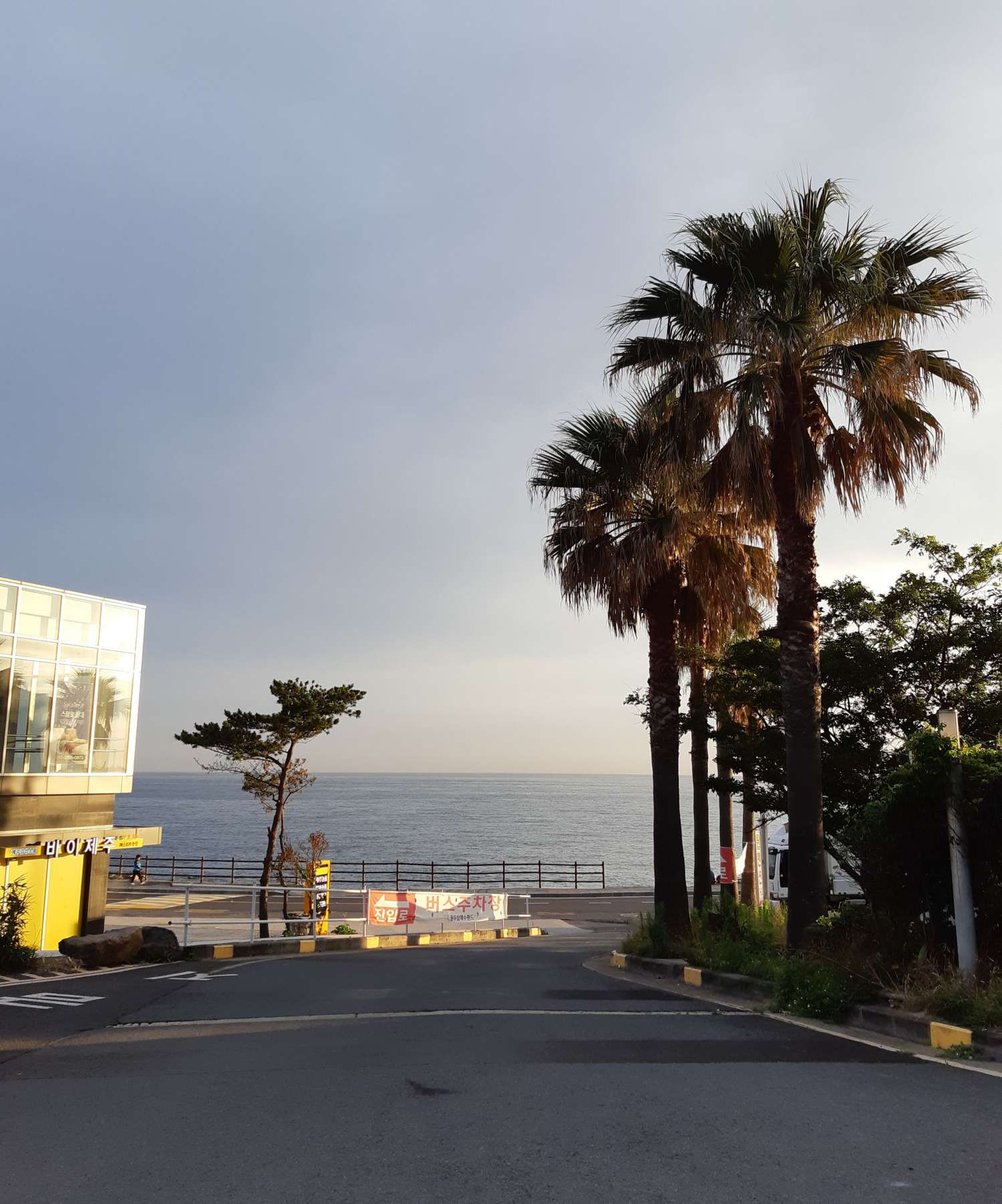 제주의 아침 바다