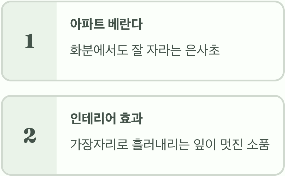 활용법 다섯, 화분 속 작은 은빛 파도