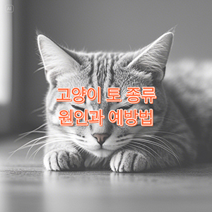 고양이 토 종류, 원인과 예방법